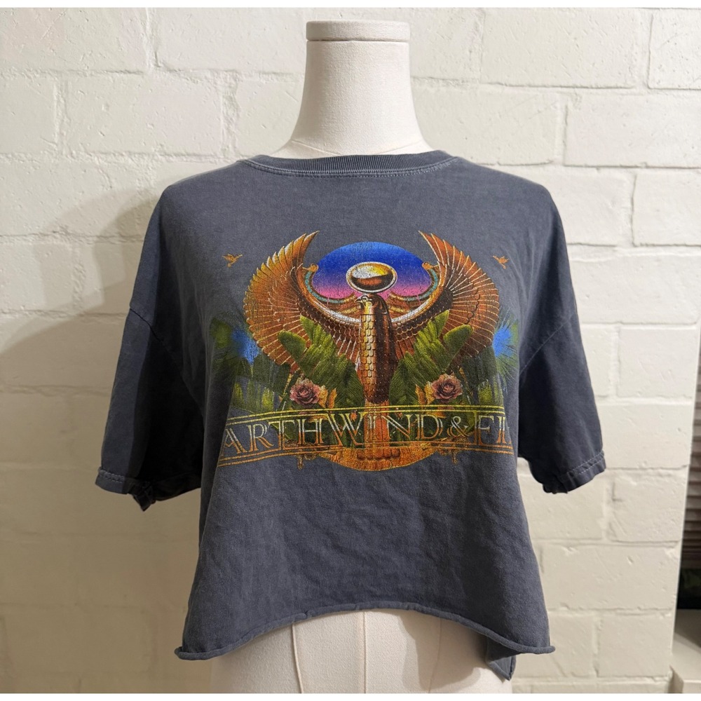 Earth Wind & Fire, Professional Crop Top, Charcoal Gray, 2013